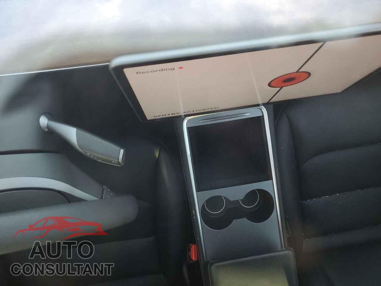 TESLA MODEL Y 2024 - 7SAYGDEEXRF123848