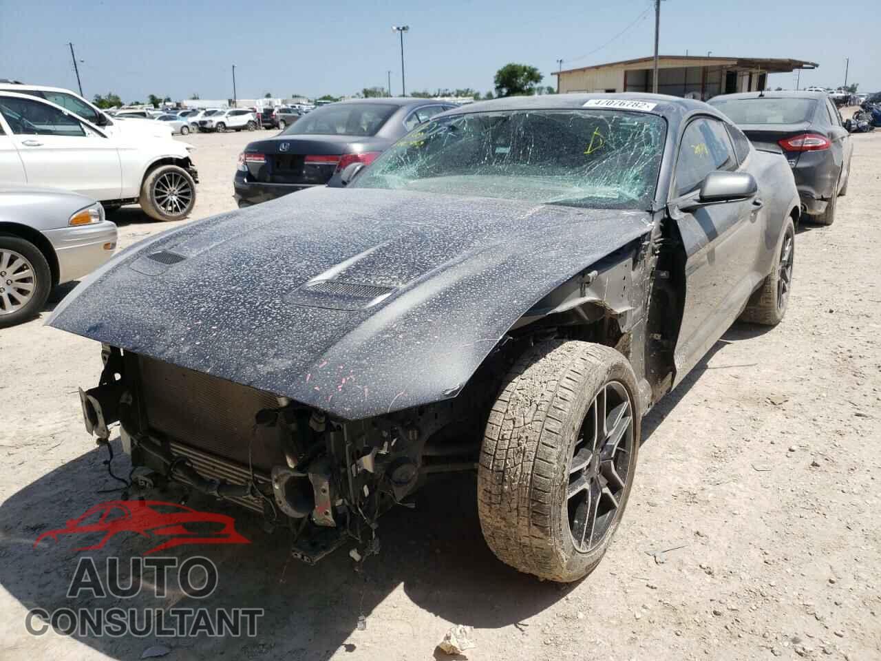 FORD MUSTANG 2019 - 1FA6P8TH5K5174244