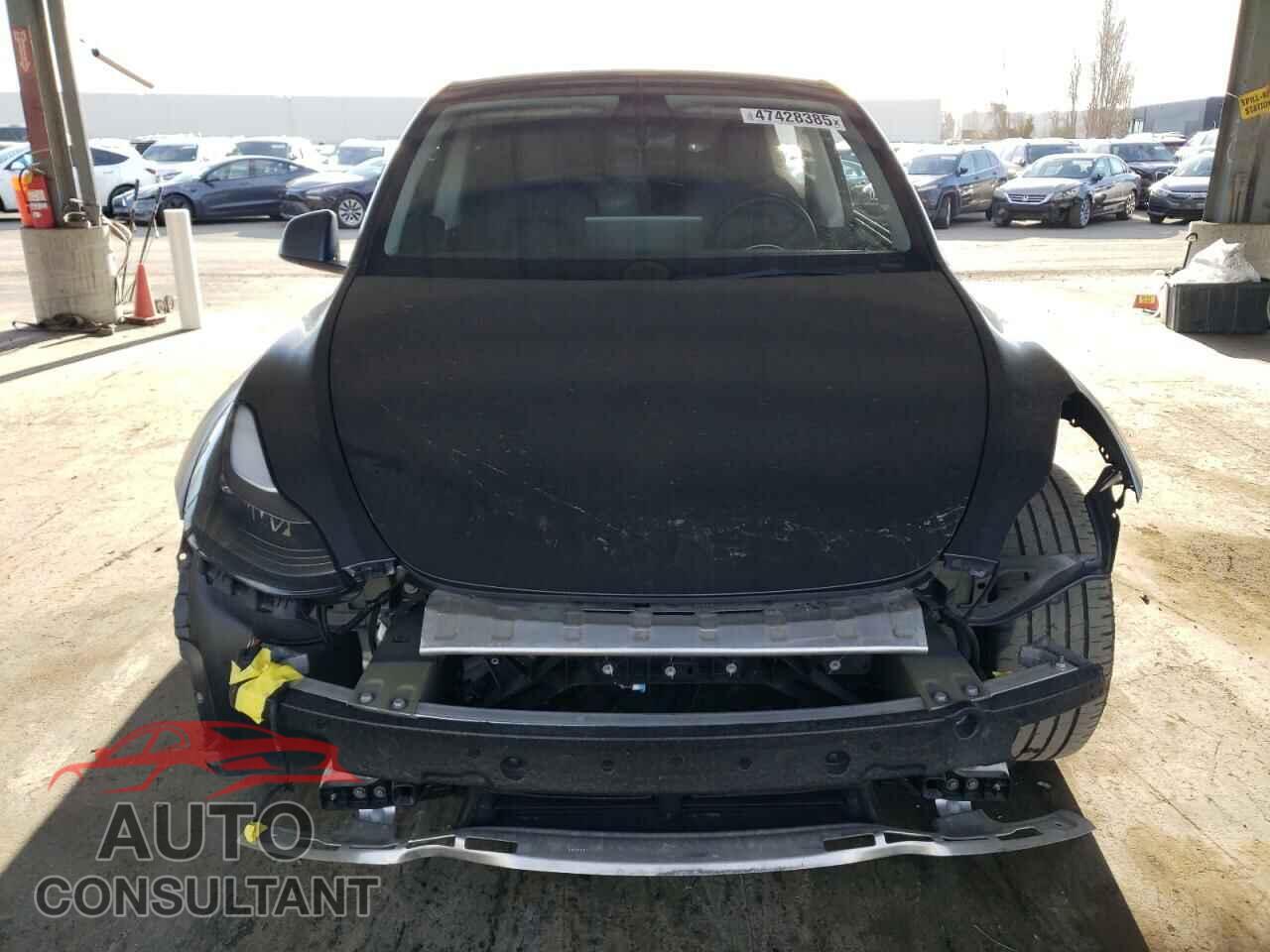 TESLA MODEL Y 2022 - 7SAYGDEE5NF552003