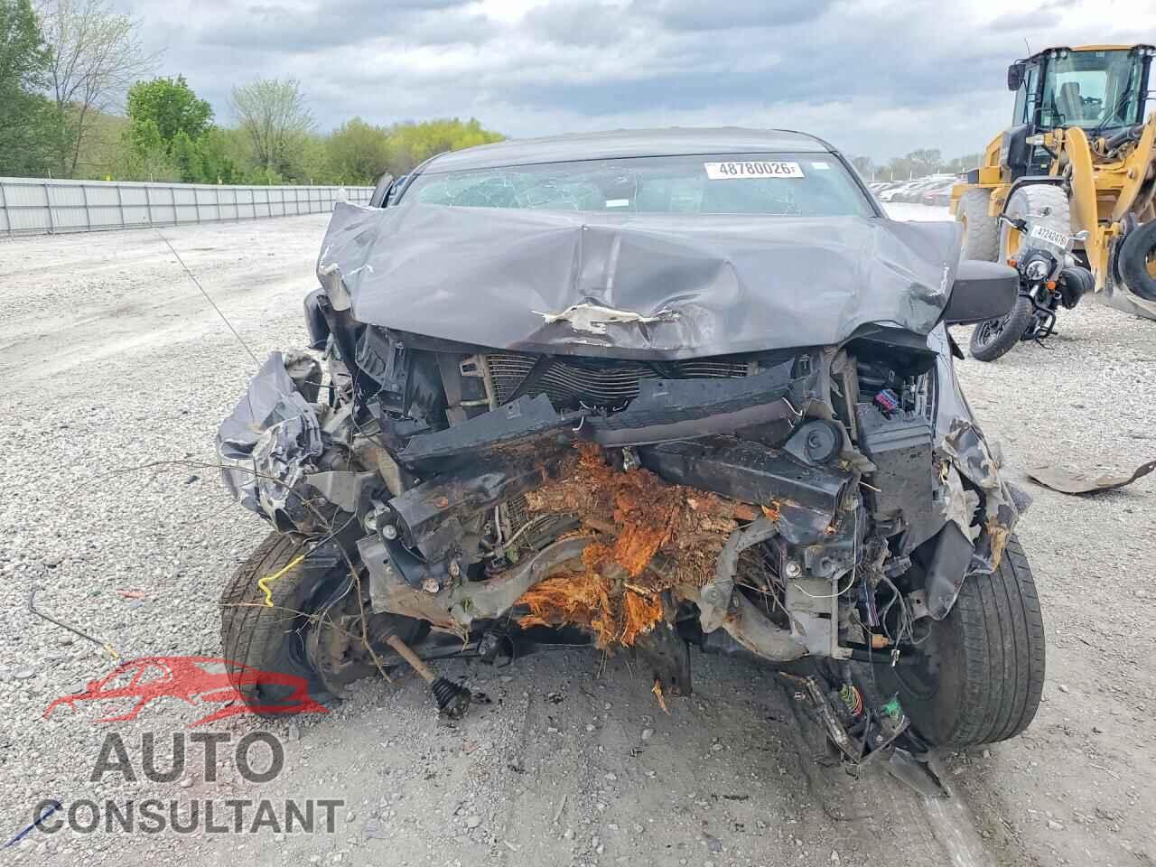 DODGE CARAVAN 2019 - 2C4RDGEG0KR631298
