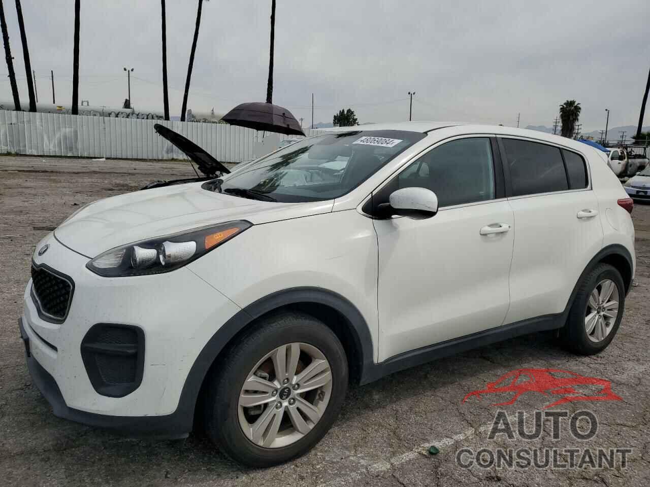 KIA SPORTAGE 2019 - KNDPM3AC3K7508664