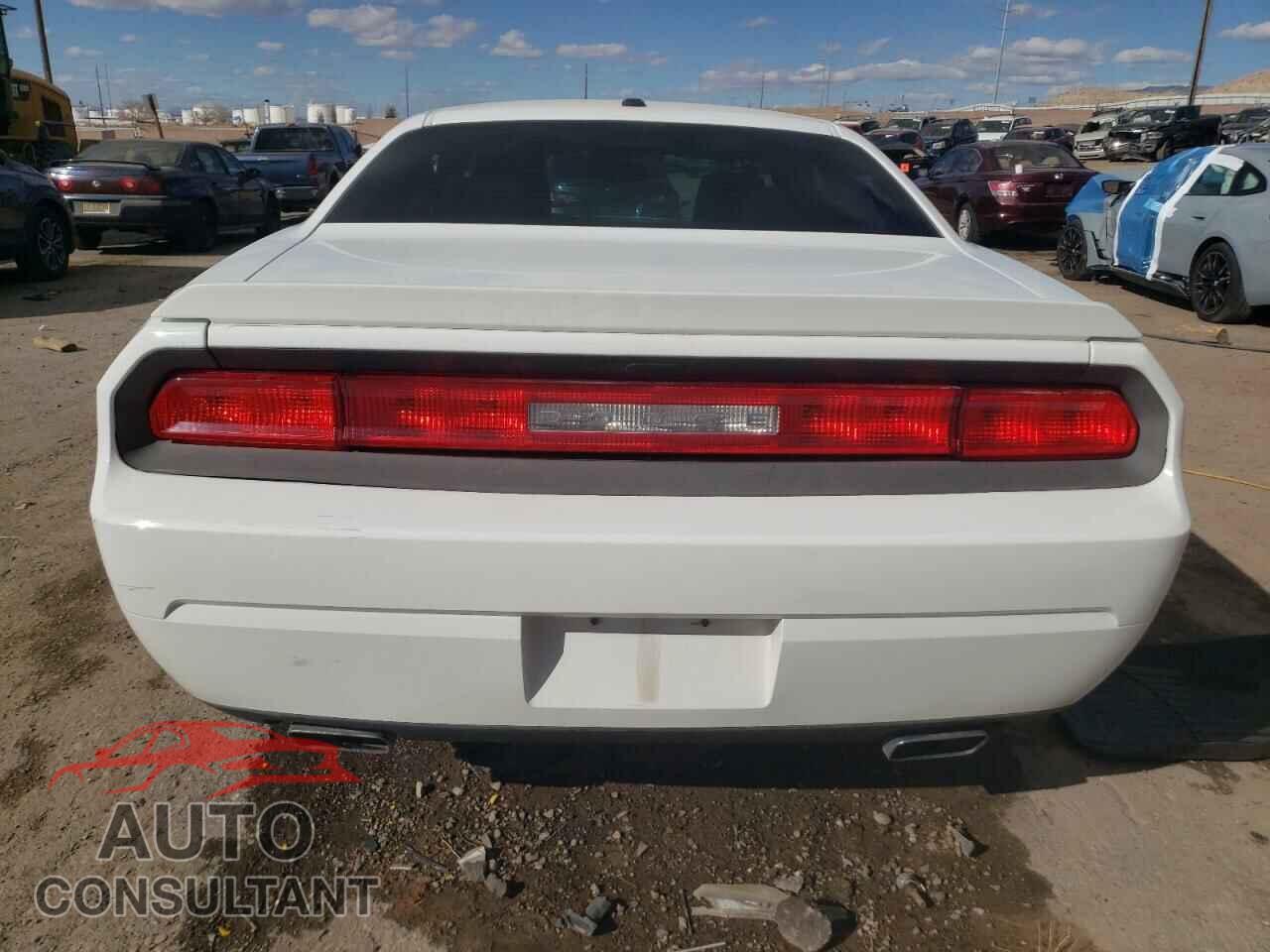DODGE CHALLENGER 2013 - 2C3CDYBT3DH535790