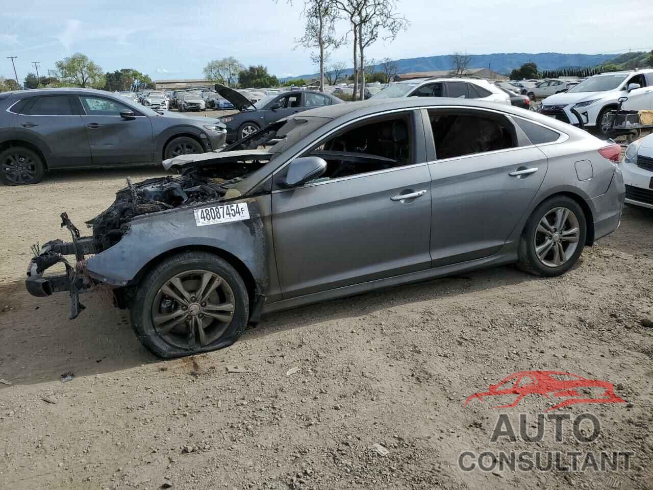 HYUNDAI SONATA 2019 - 5NPE34AF3KH800269