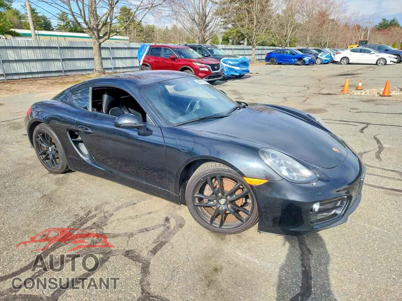 PORSCHE CAYMAN 2014 - WP0AA2A85EK170576