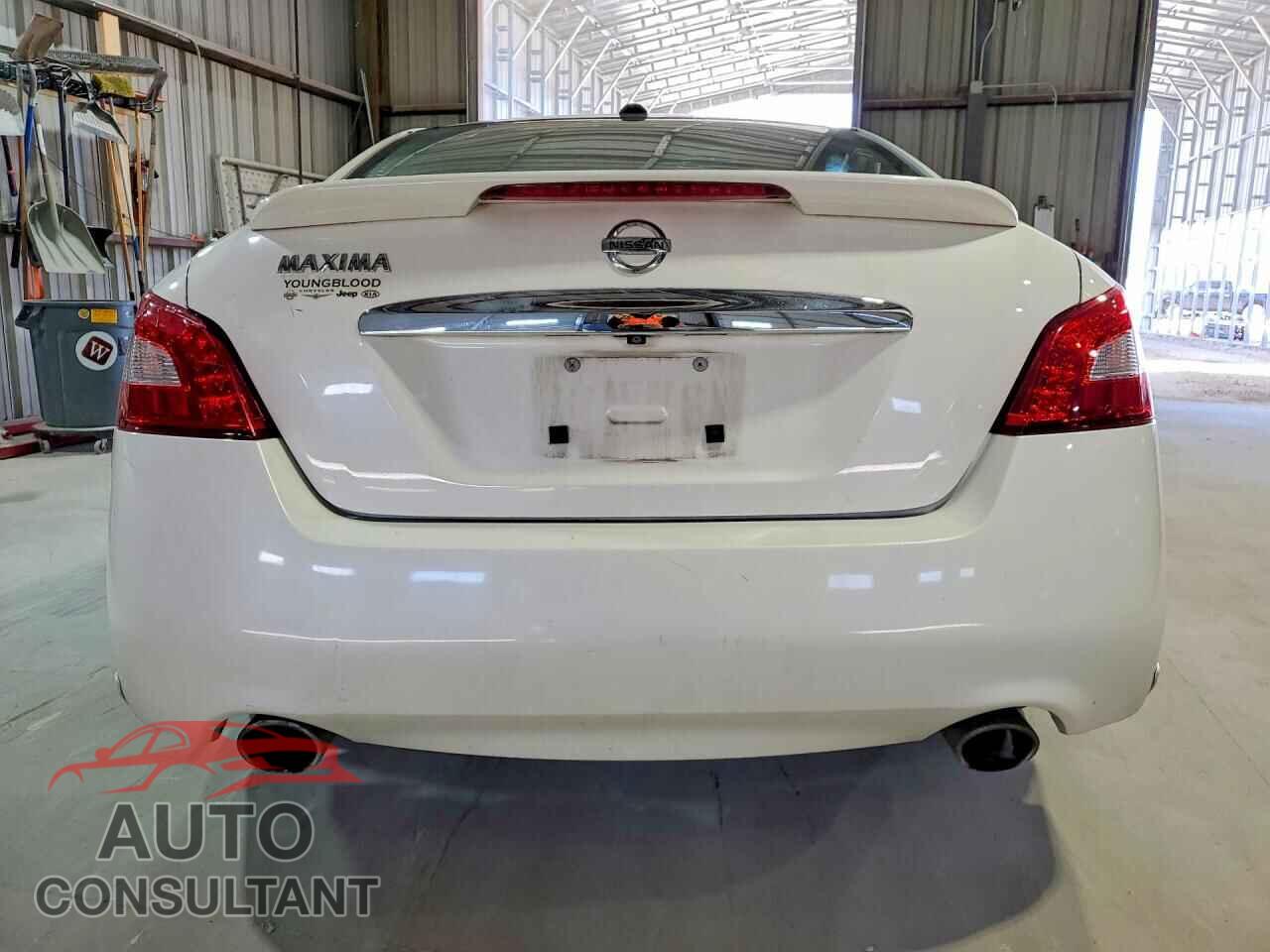 NISSAN MAXIMA 2011 - 1N4AA5AP7BC816995