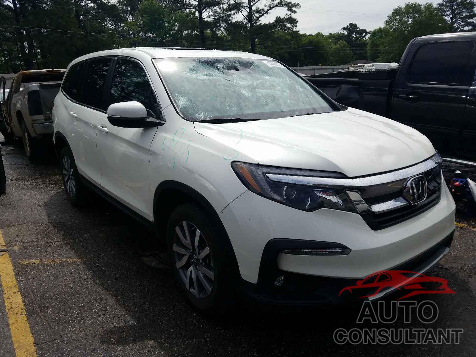 HONDA PILOT 2019 - 5FNYF5H59KB035154