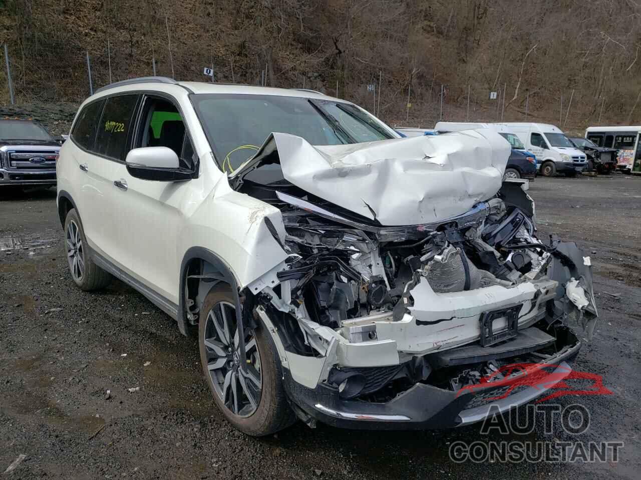 HONDA PILOT 2019 - 5FNYF6H60KB008570