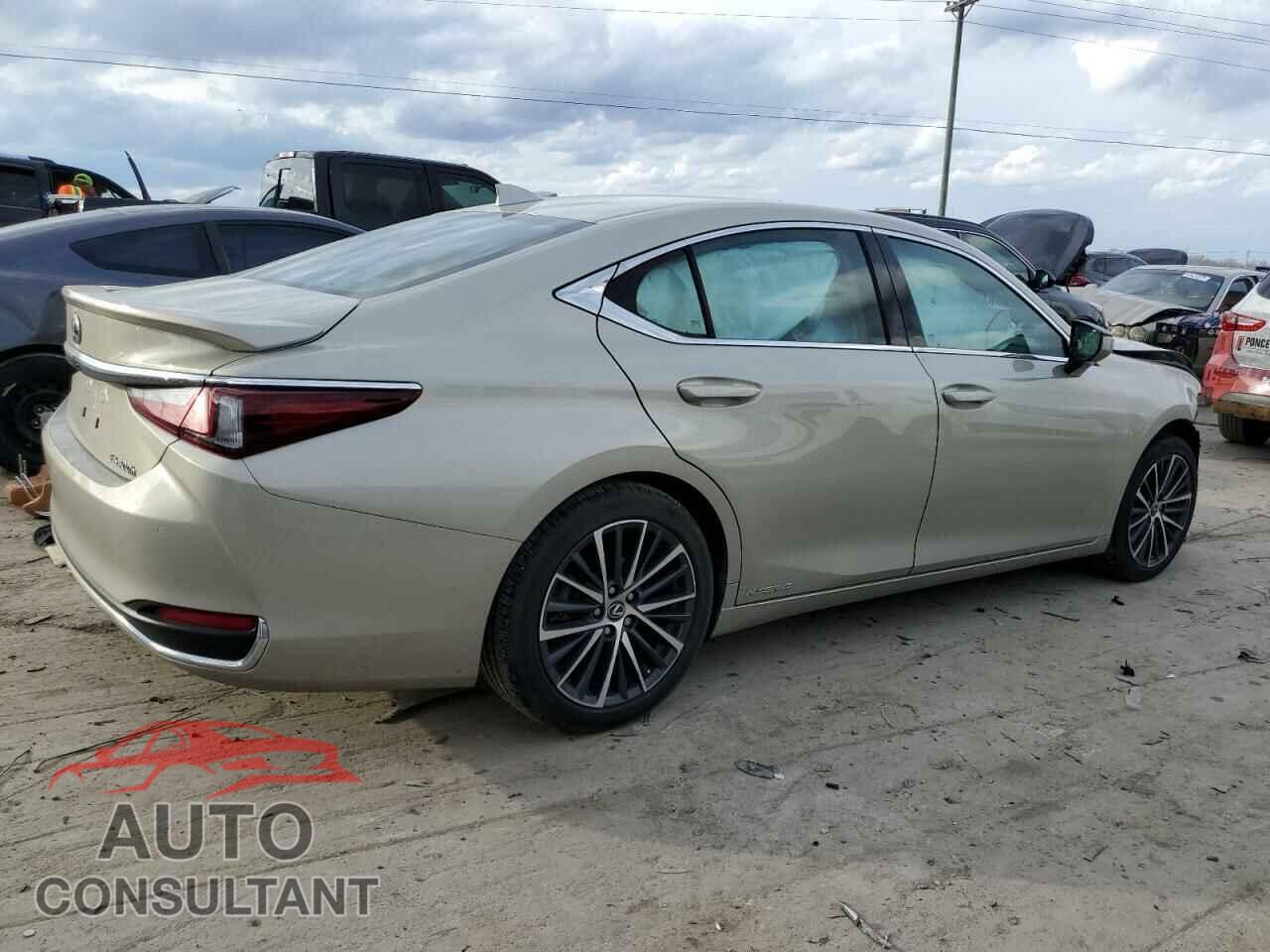 LEXUS ES300 2022 - 58ADA1C19NU014203