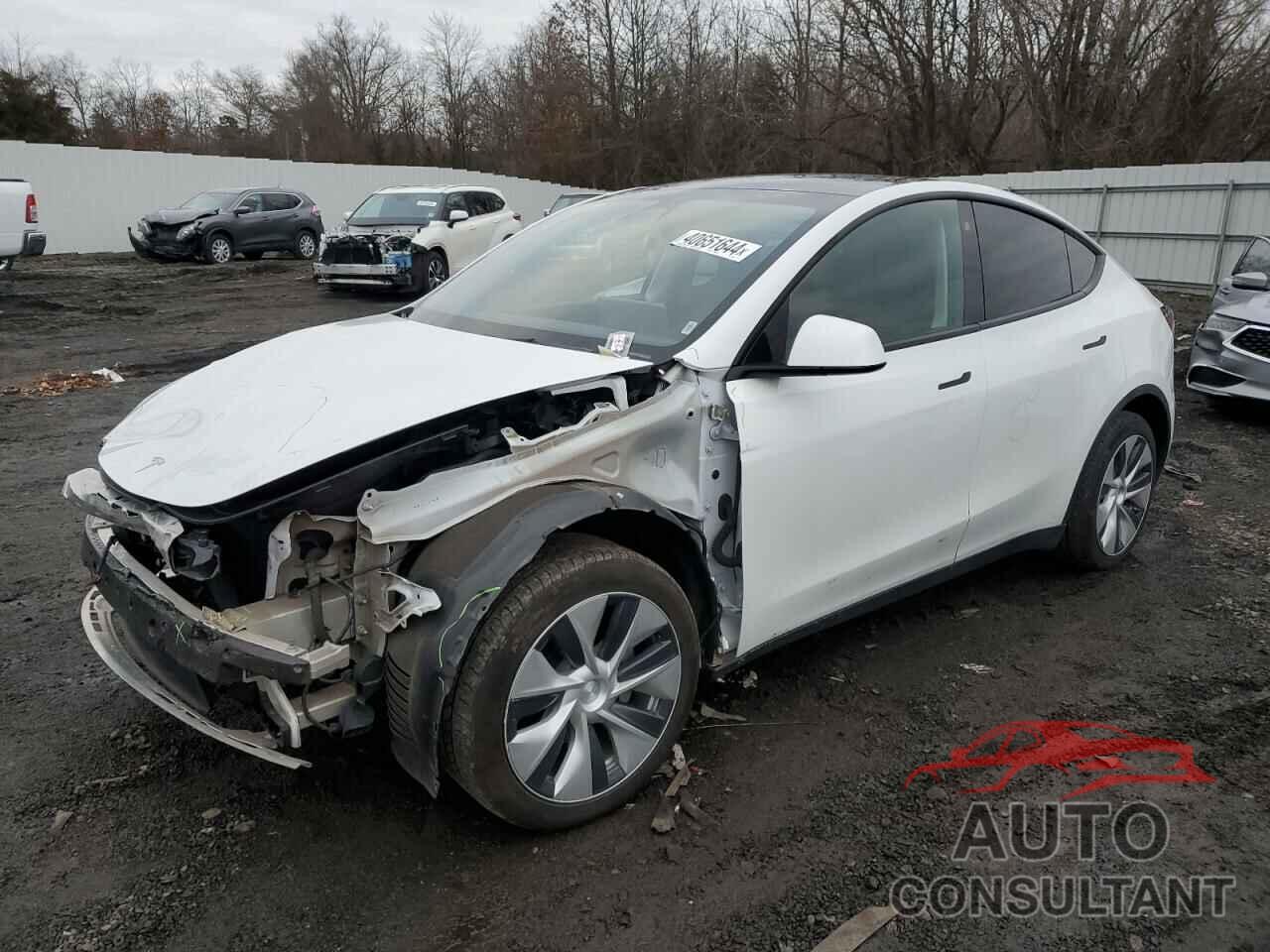 TESLA MODEL Y 2021 - 5YJYGDEE4MF263142