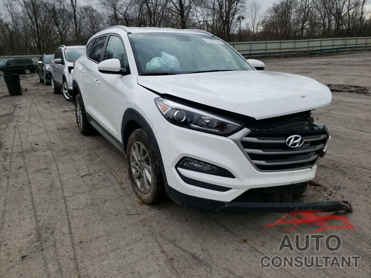 HYUNDAI TUCSON 2017 - KM8J3CA44HU588516