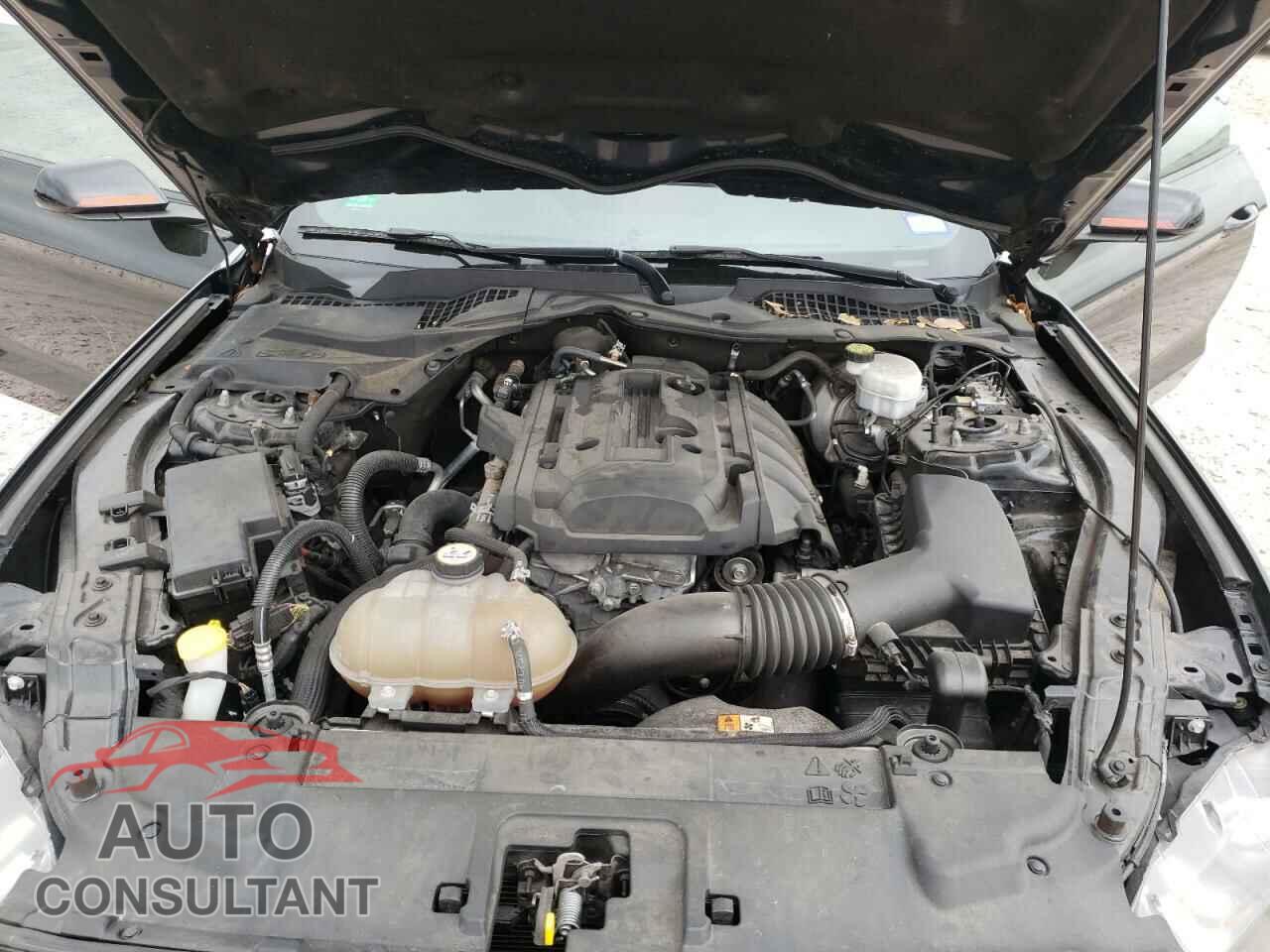 FORD MUSTANG 2018 - 1FA6P8TH0J5126830