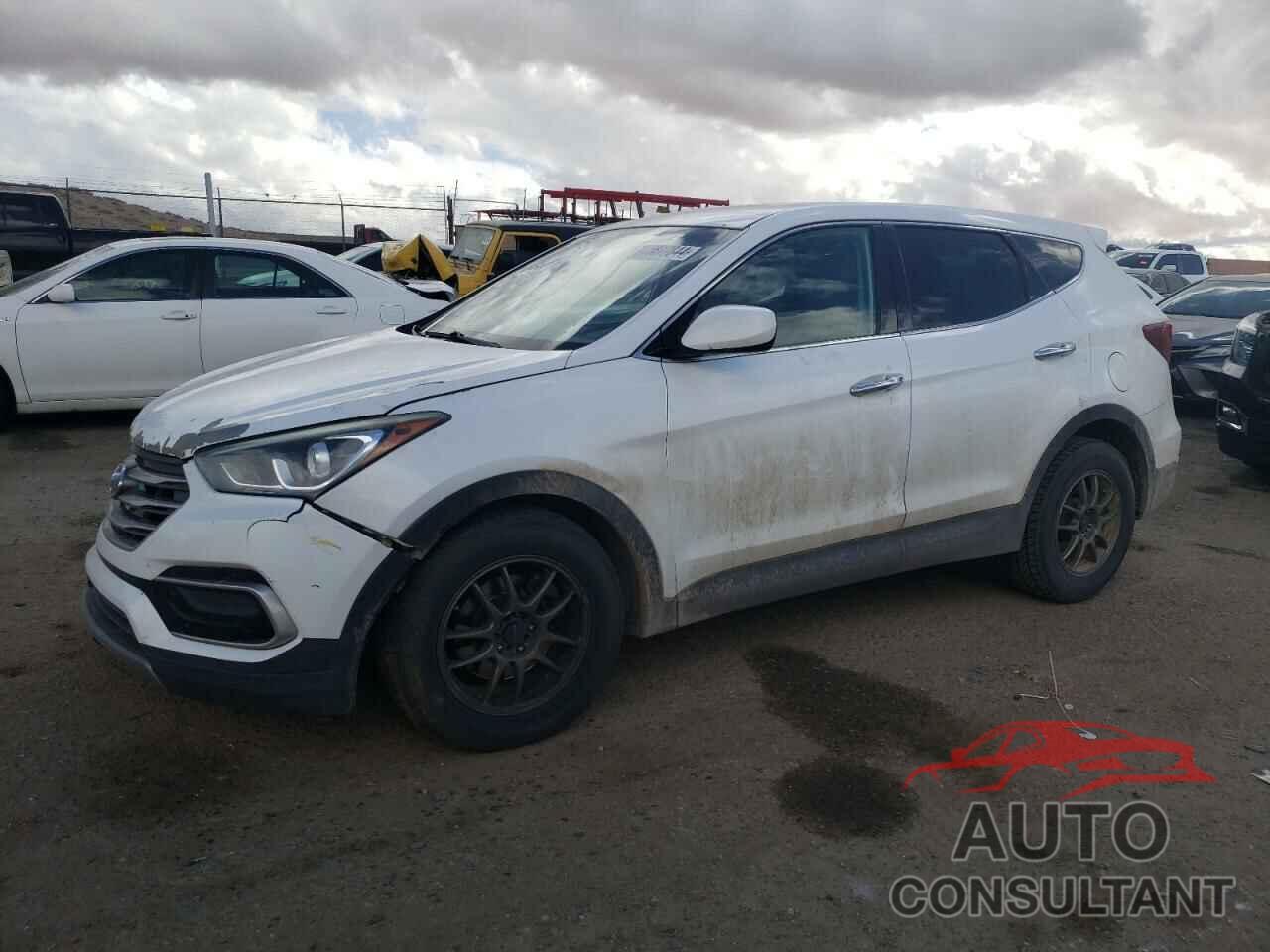 HYUNDAI SANTA FE 2017 - 5NMZTDLB5HH028505