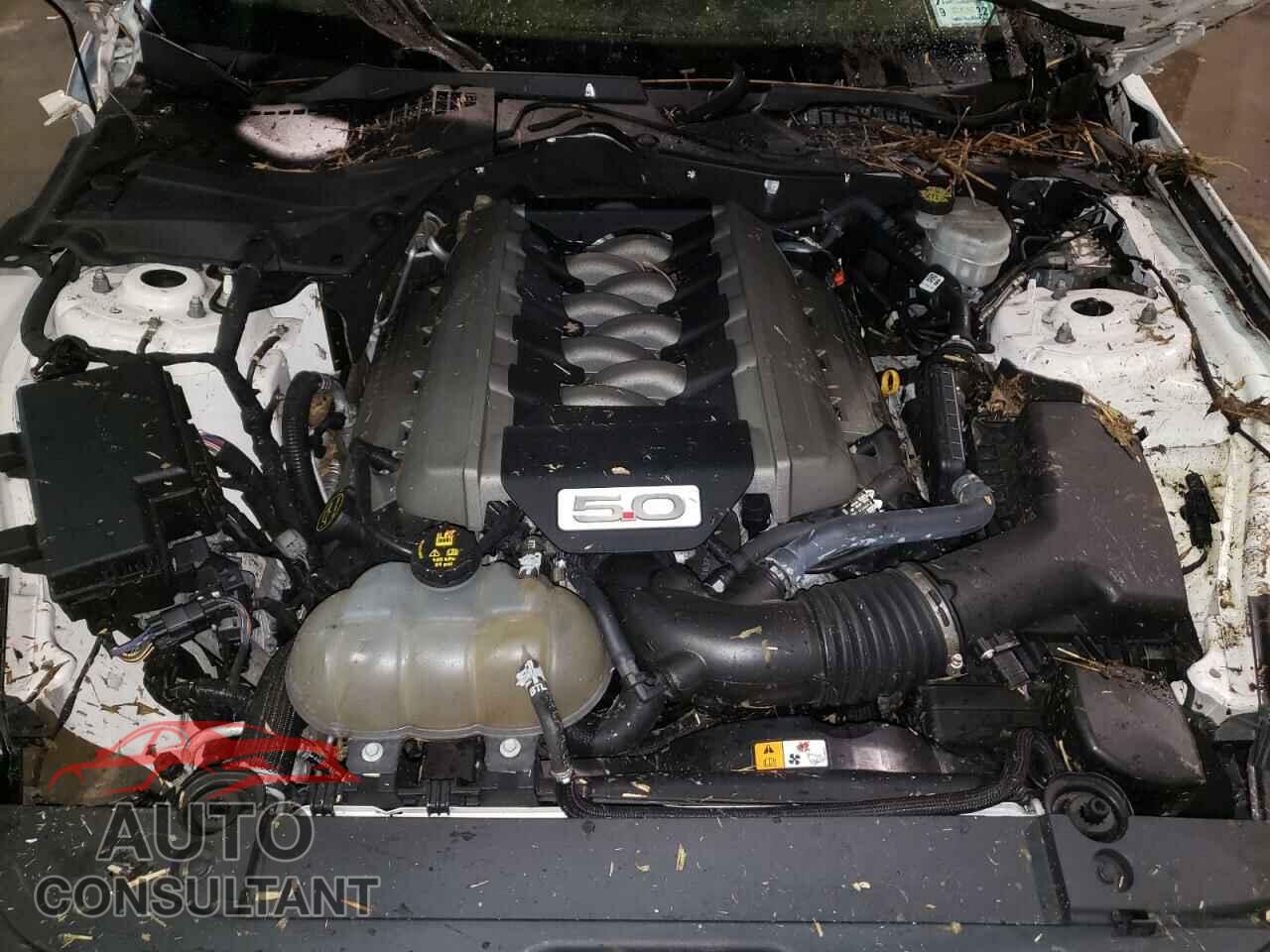 FORD MUSTANG 2017 - 1FA6P8CF9H5338652