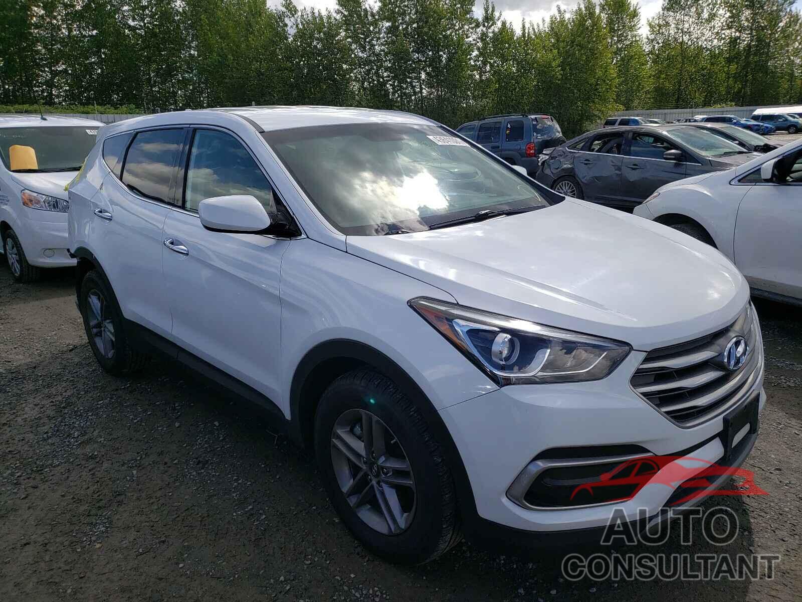 HYUNDAI SANTA FE 2017 - 5NMZTDLBXHH021498