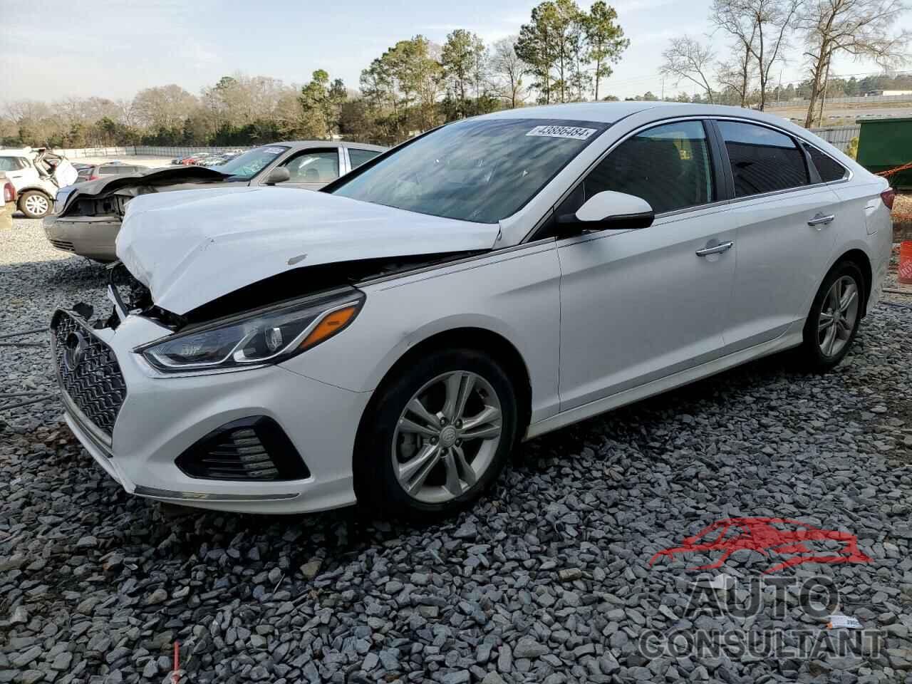 HYUNDAI SONATA 2019 - 5NPE34AF4KH733617