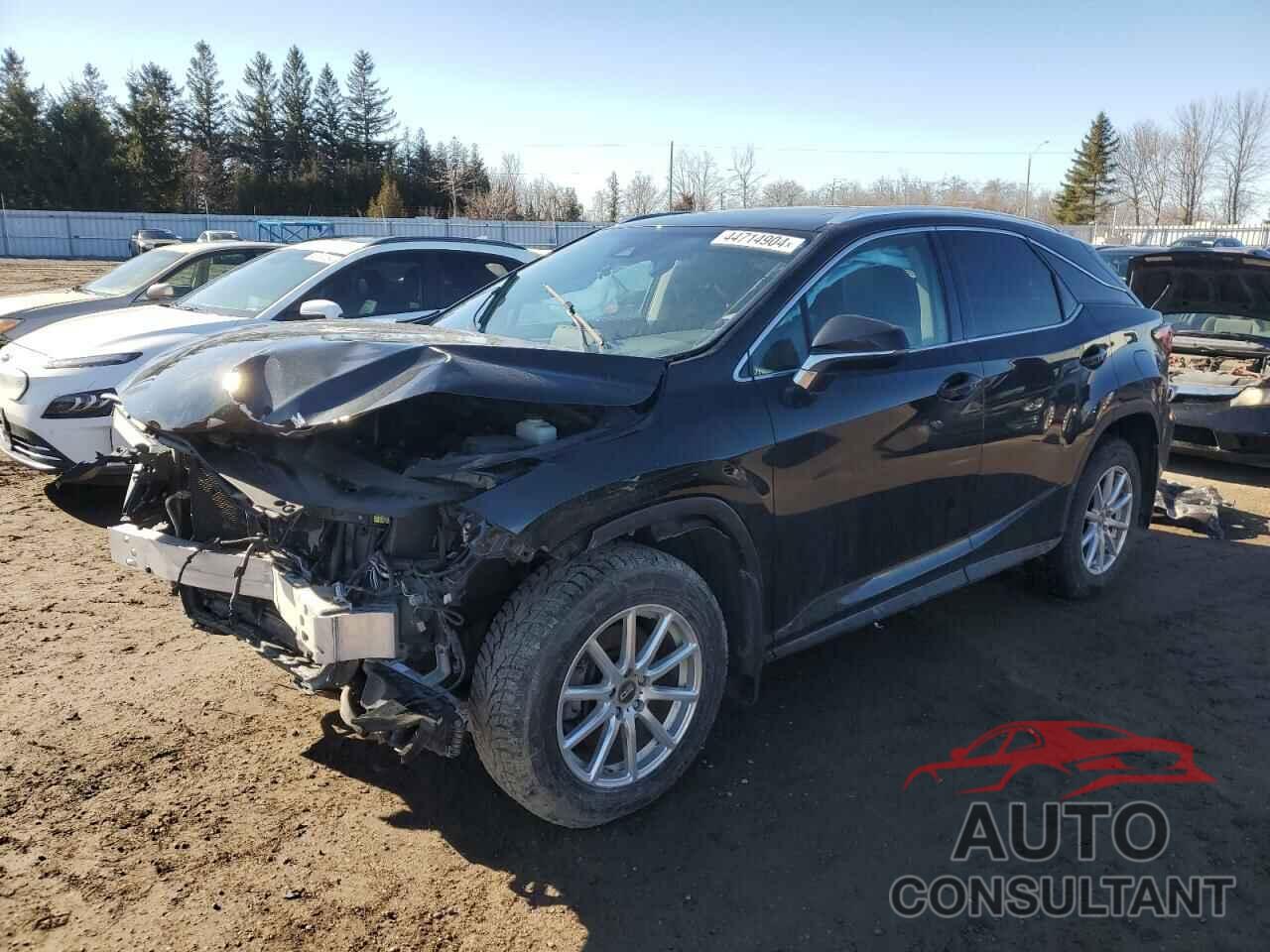 LEXUS RX350 2019 - 2T2BZMCAXKC198620