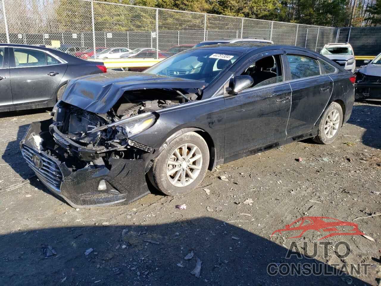 HYUNDAI SONATA 2019 - 5NPE24AF6KH735307