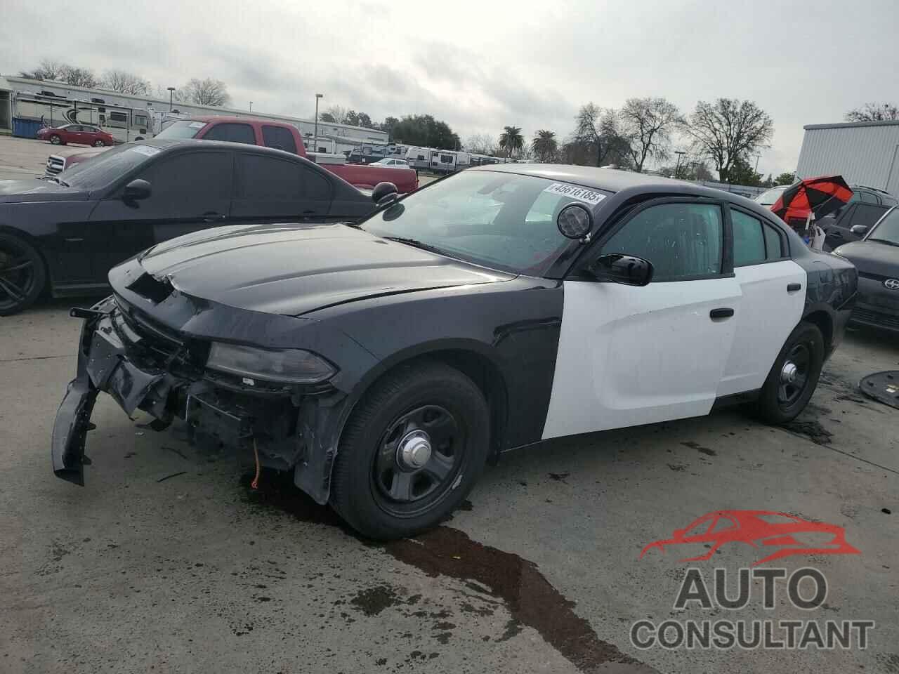 DODGE CHARGER 2019 - 2C3CDXAT6KH514120