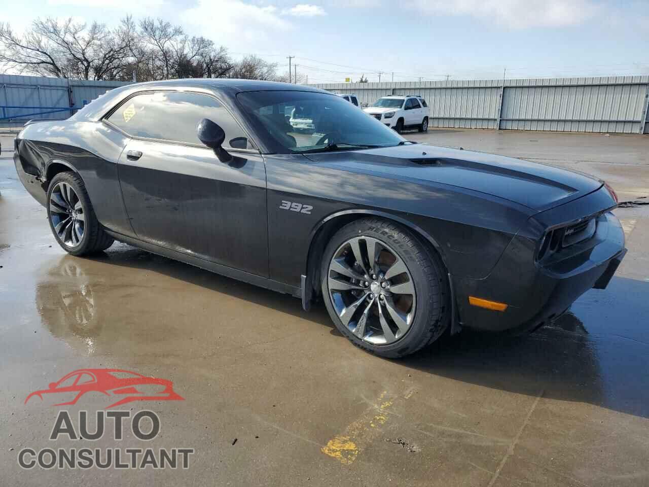 DODGE CHALLENGER 2014 - 2C3CDYDJ2EH196629