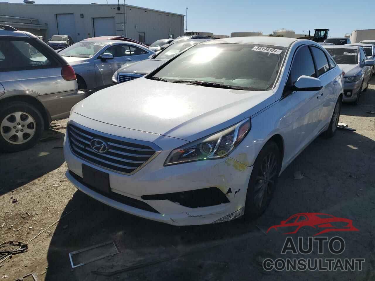 HYUNDAI SONATA 2016 - 5NPE24AF8GH304555