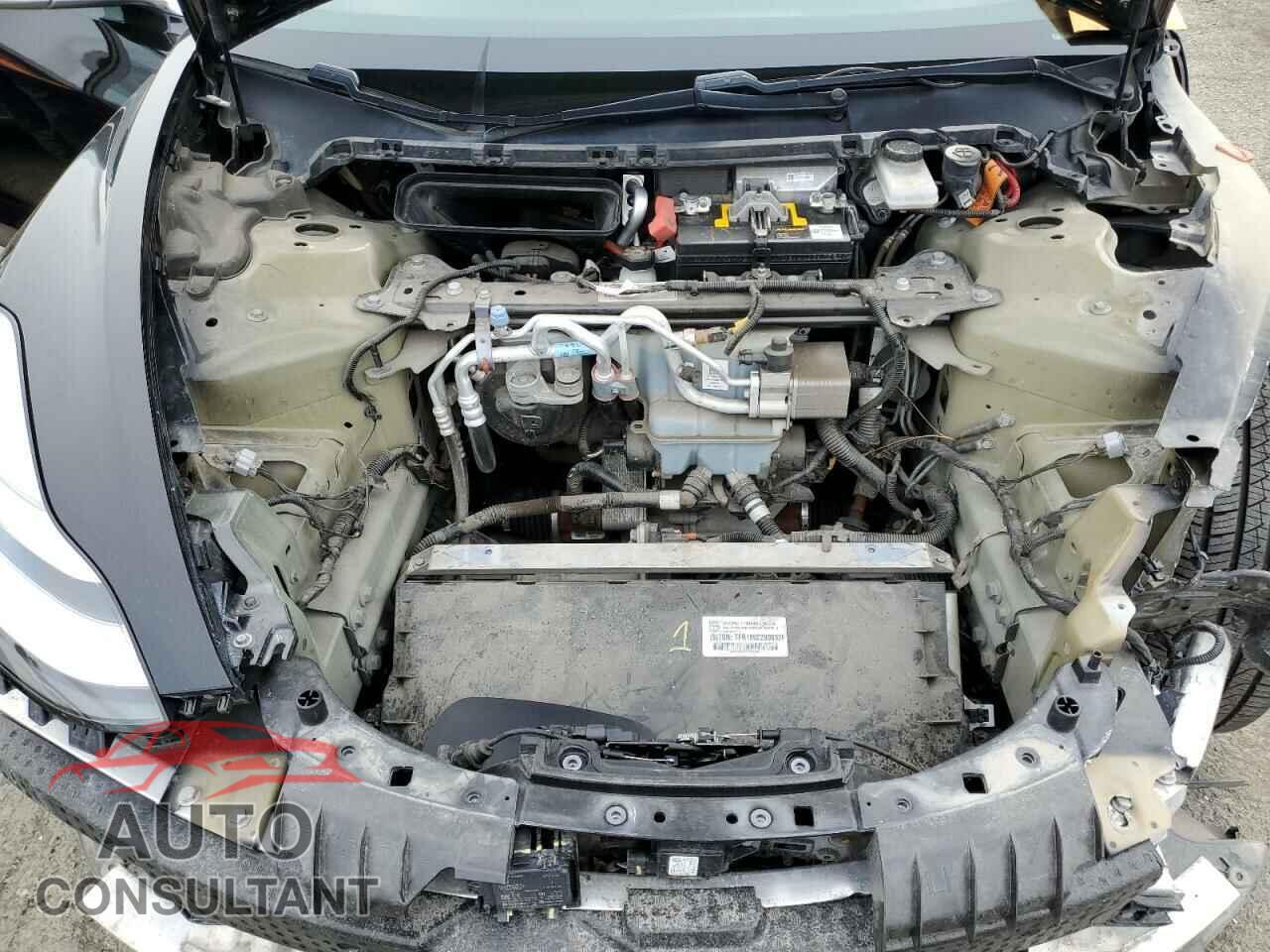 TESLA MODEL 3 2019 - 5YJ3E1EB8KF199043