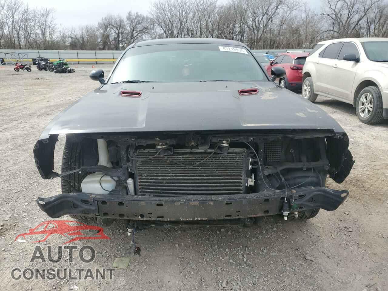 DODGE CHALLENGER 2013 - 2C3CDYAG7DH531245