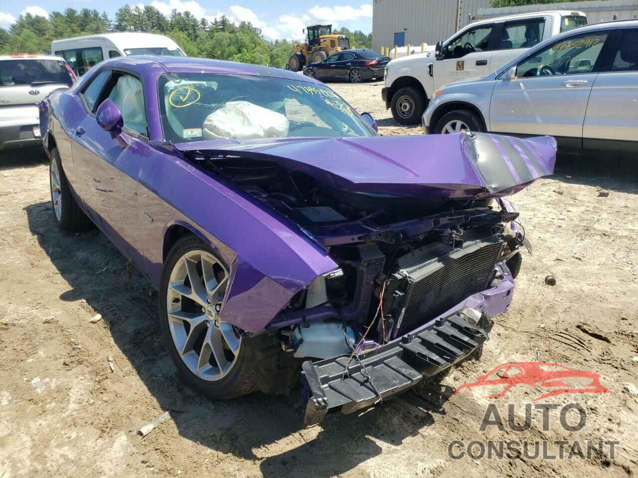 DODGE CHALLENGER 2019 - 2C3CDZBTXKH674317