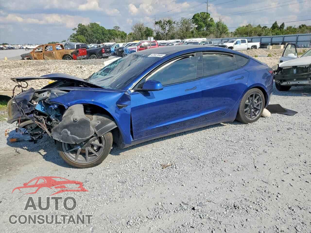 TESLA MODEL 3 2021 - 5YJ3E1EA1MF045381