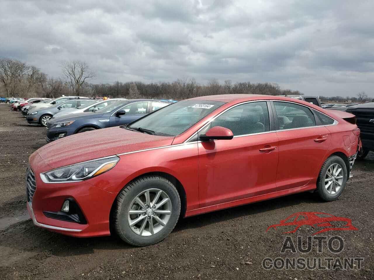 HYUNDAI SONATA 2019 - 5NPE24AF0KH783756