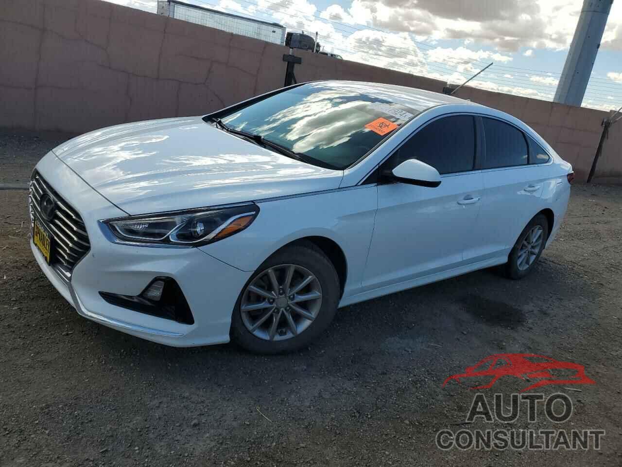 HYUNDAI SONATA 2019 - 5NPE24AFXKH730384