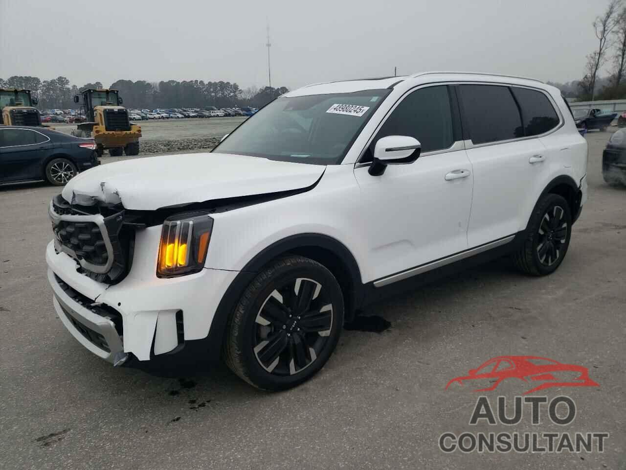 KIA TELLURIDE 2024 - 5XYP5DGC4RG544175