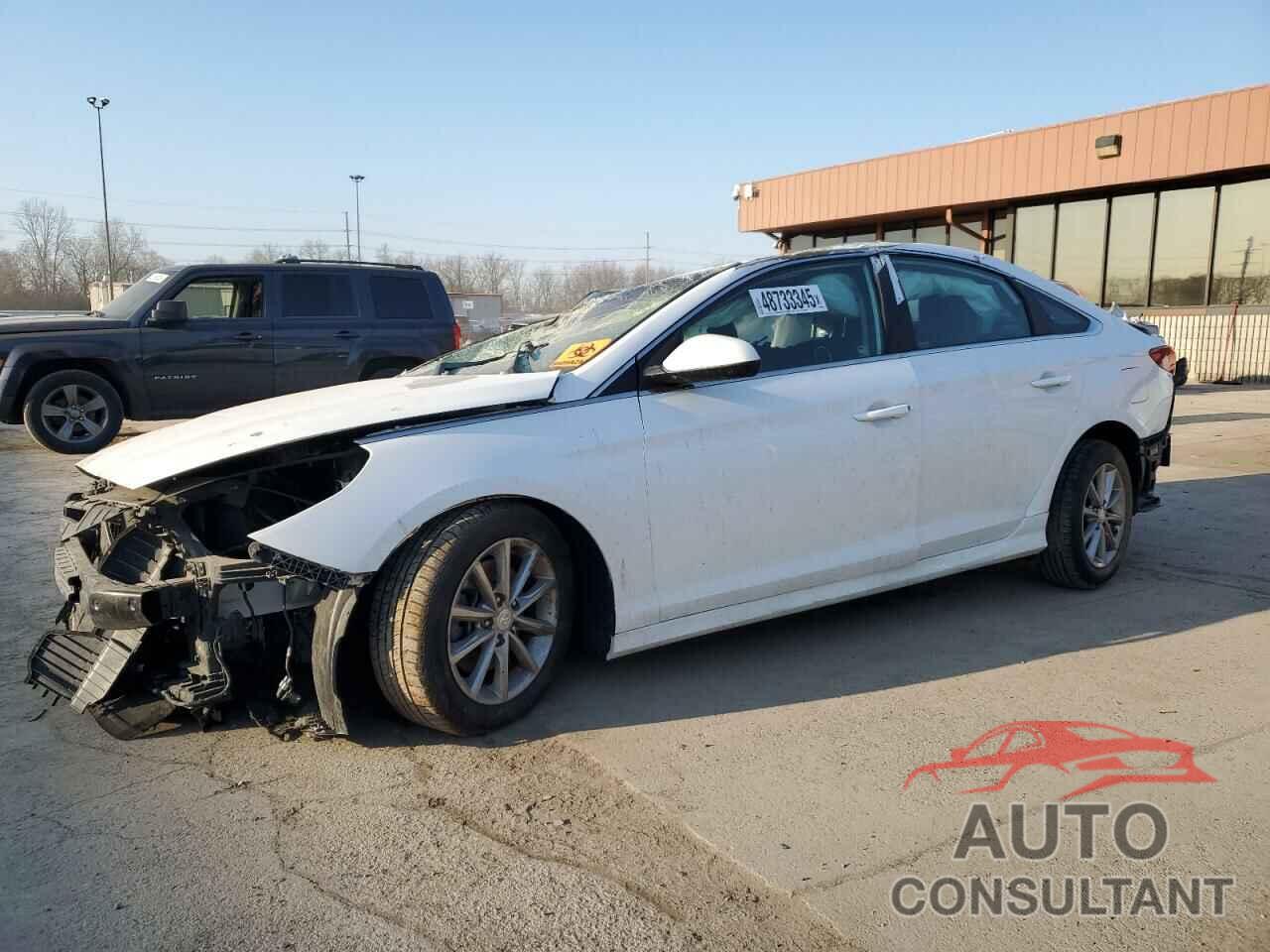 HYUNDAI SONATA 2019 - 5NPE24AF7KH801332
