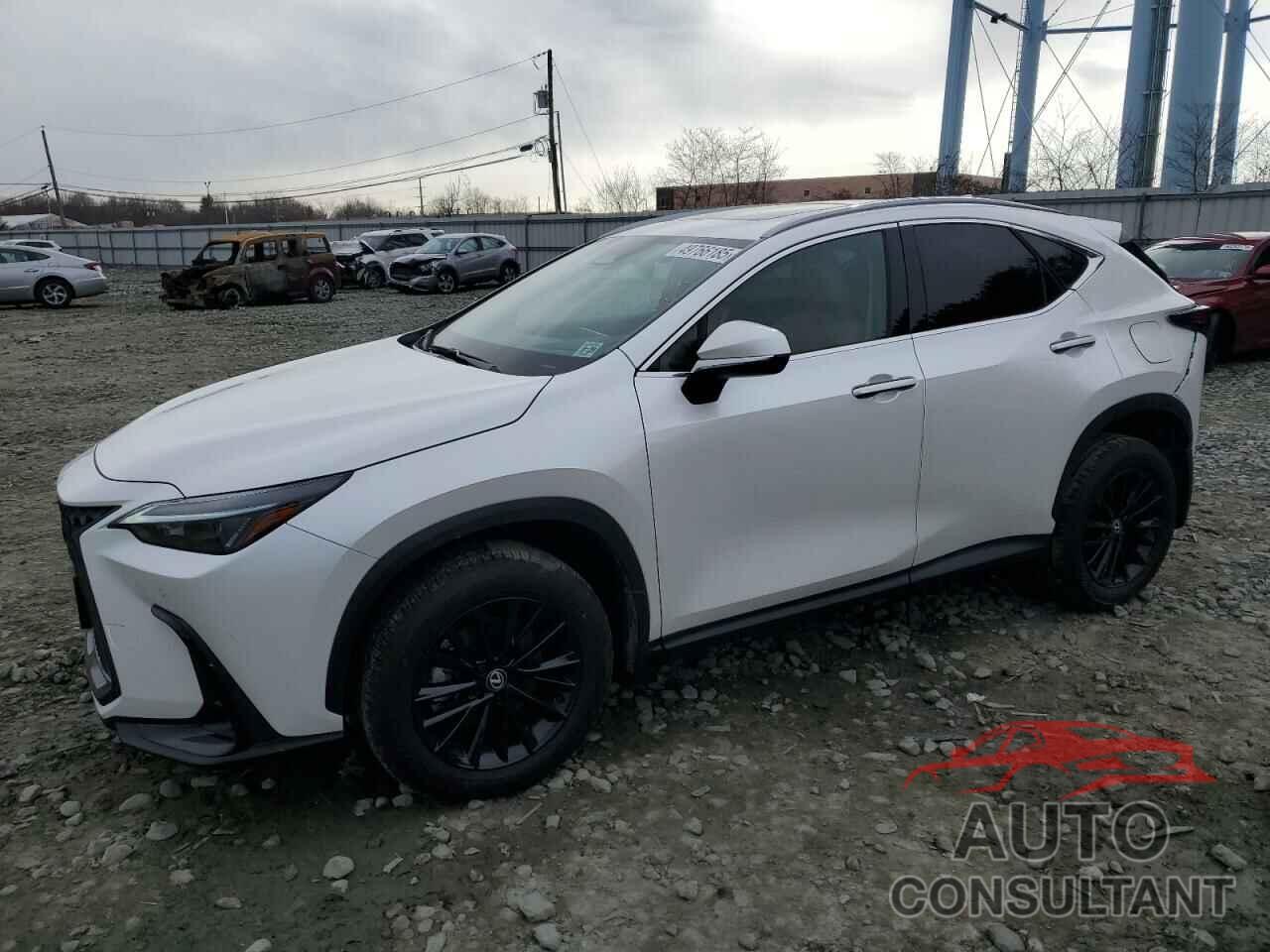 LEXUS NX 350 2025 - 2T2GGCEZ8SC064147