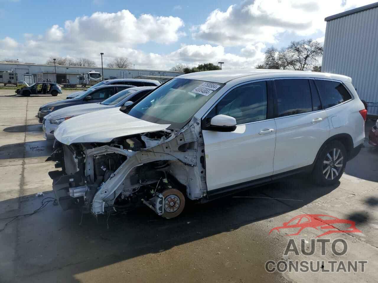 HONDA PILOT 2019 - 5FNYF5H3XKB023674