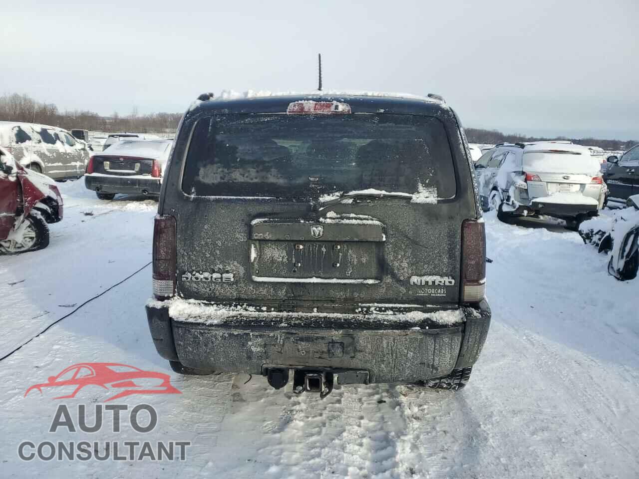 DODGE NITRO 2011 - 1D4PU4GX2BW501410