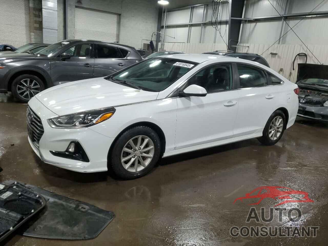 HYUNDAI SONATA 2019 - 5NPE24AF0KH758632