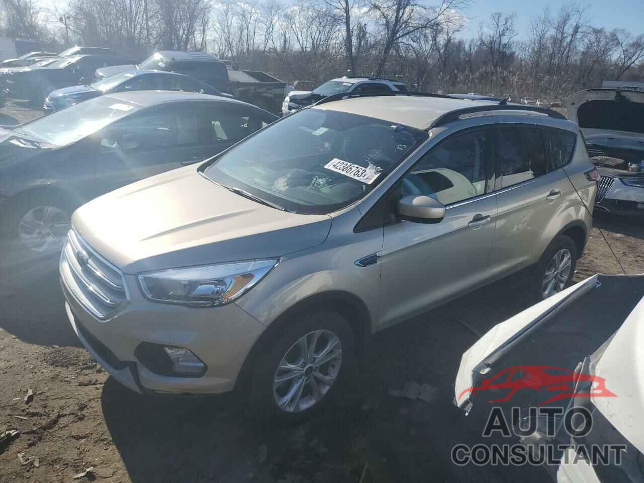 FORD ESCAPE 2018 - 1FMCU0GD7JUB81694