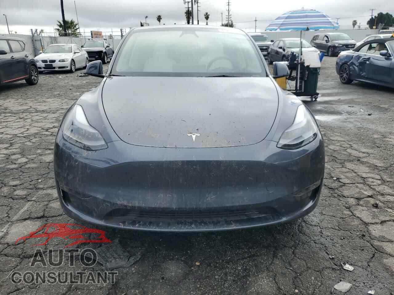 TESLA MODEL Y 2023 - 7SAYGAEE1PF824385
