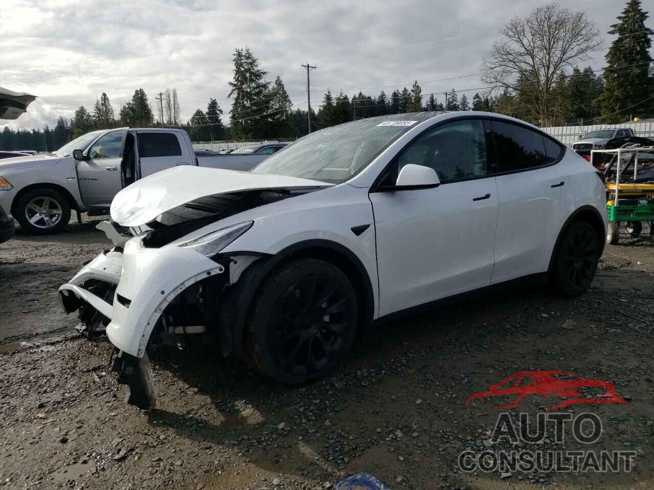 TESLA MODEL Y 2021 - 5YJYGDEE7MF269985