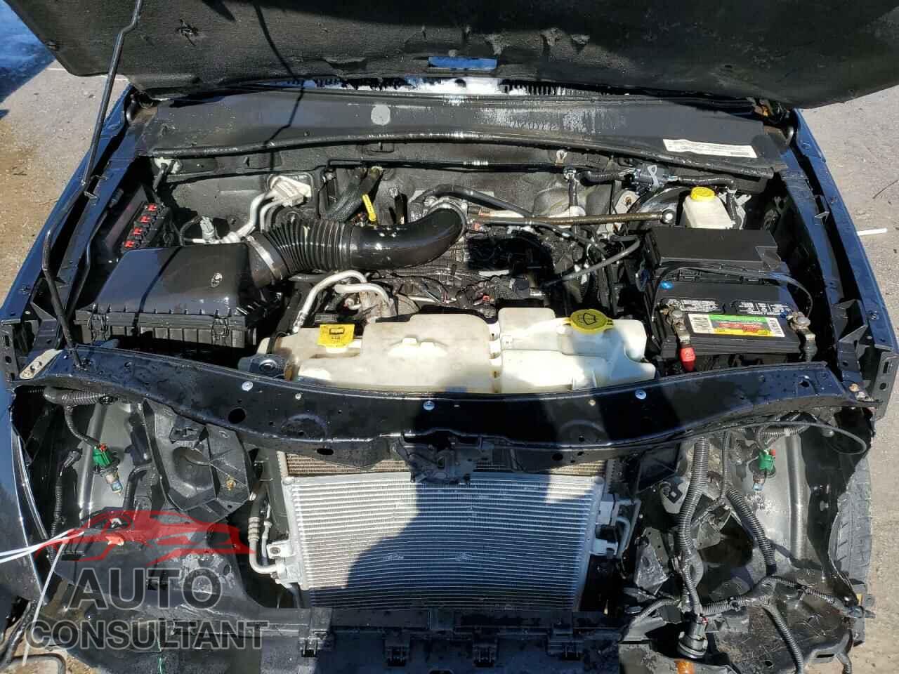 DODGE NITRO 2011 - 1D4PU5GK0BW546372