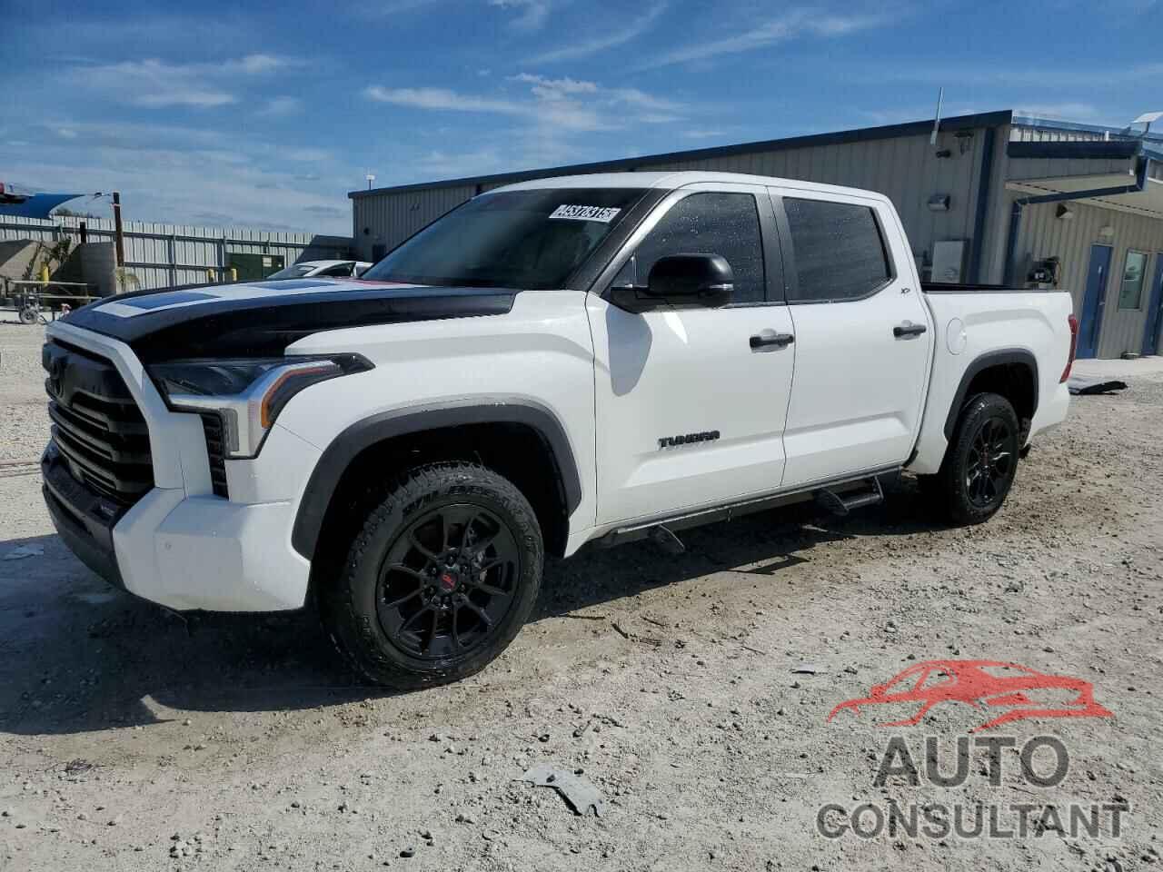 TOYOTA TUNDRA 2024 - 5TFLA5DB5RX131593