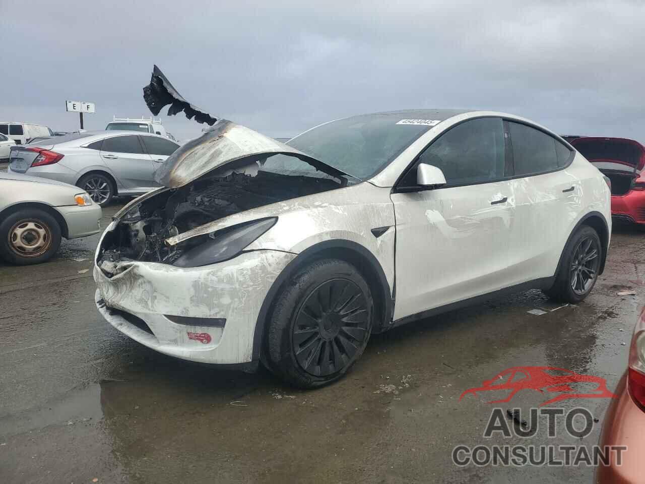 TESLA MODEL Y 2024 - 7SAYGDEE8RF184292