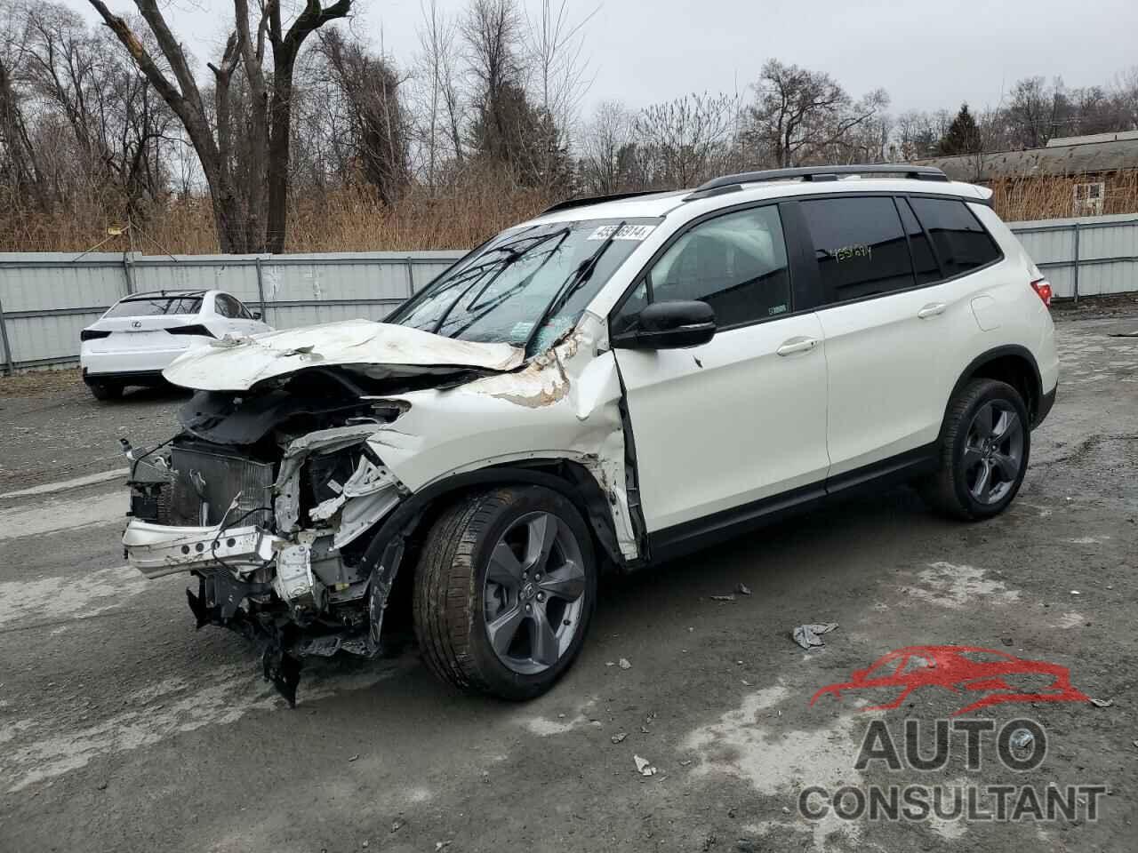 HONDA PASSPORT 2019 - 5FNYF8H99KB005494