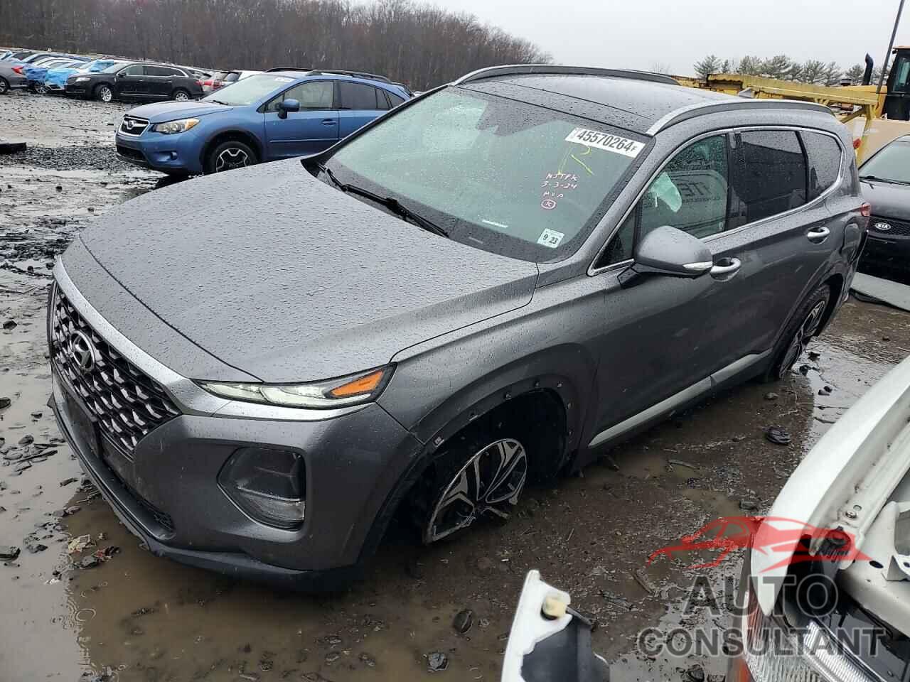 HYUNDAI SANTA FE 2019 - 5NMS5CAAXKH029320