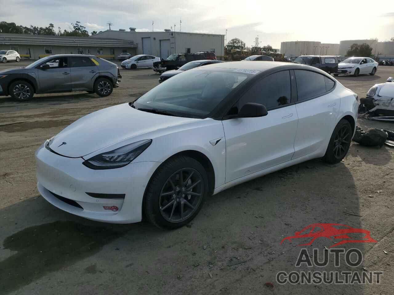 TESLA MODEL 3 2019 - 5YJ3E1EA1KF485677