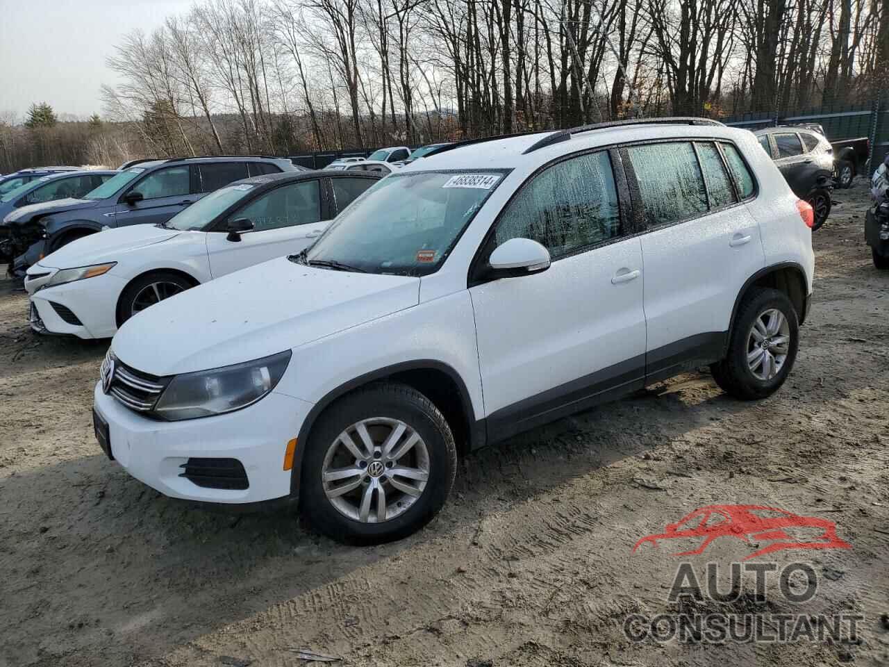 VOLKSWAGEN TIGUAN 2016 - WVGBV7AX1GW557064