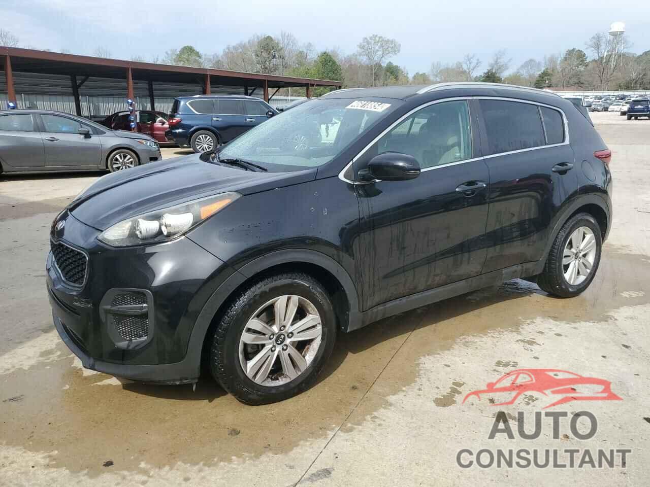 KIA SPORTAGE 2017 - KNDPM3ACXH7069777