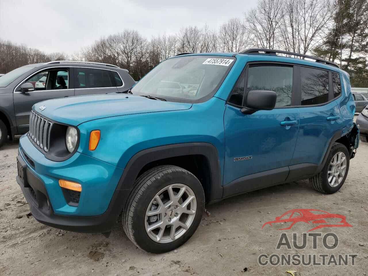 JEEP RENEGADE 2022 - ZACNJDB11NPN47390