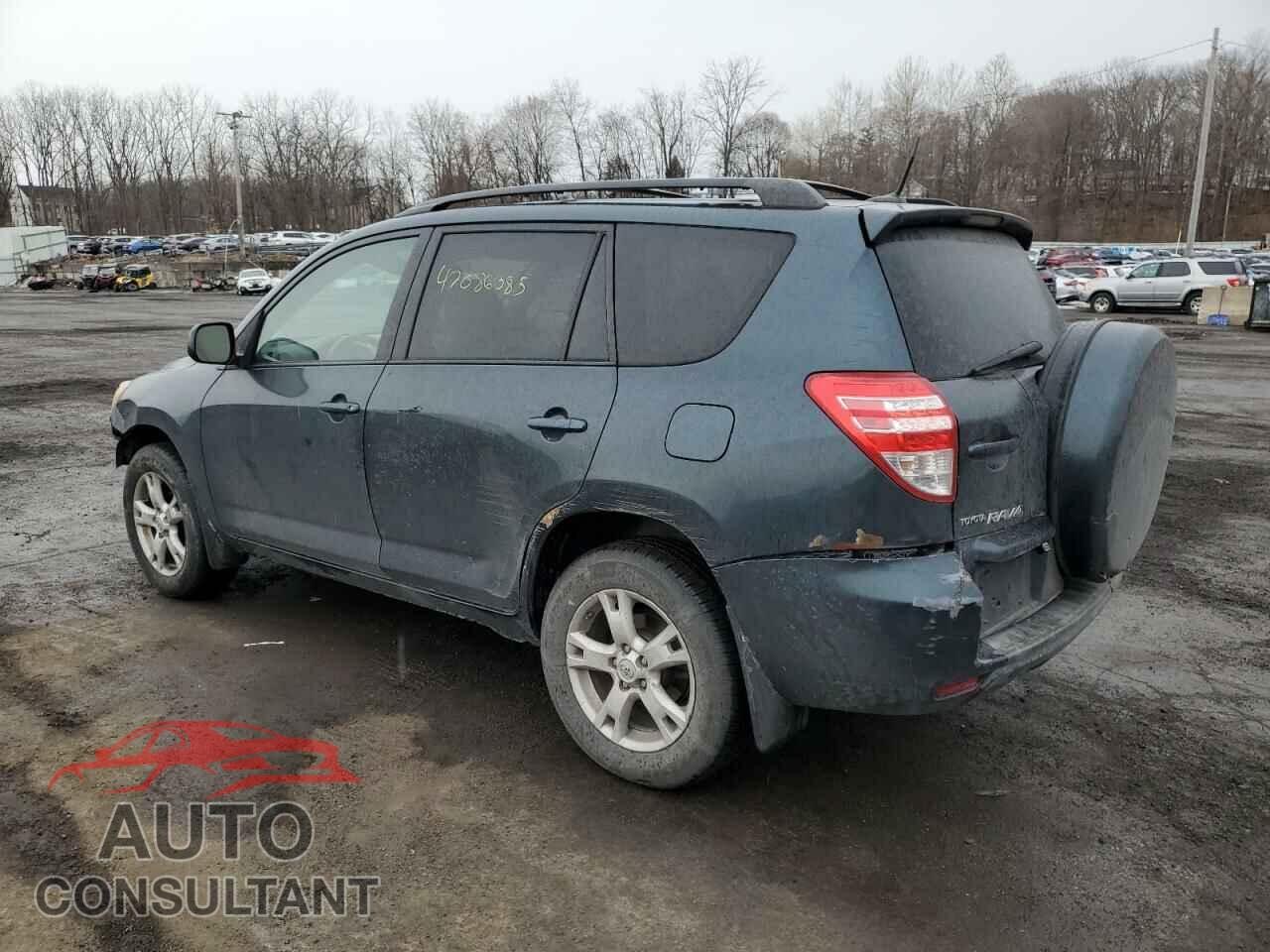 TOYOTA RAV4 2011 - 2T3BF4DV4BW166525