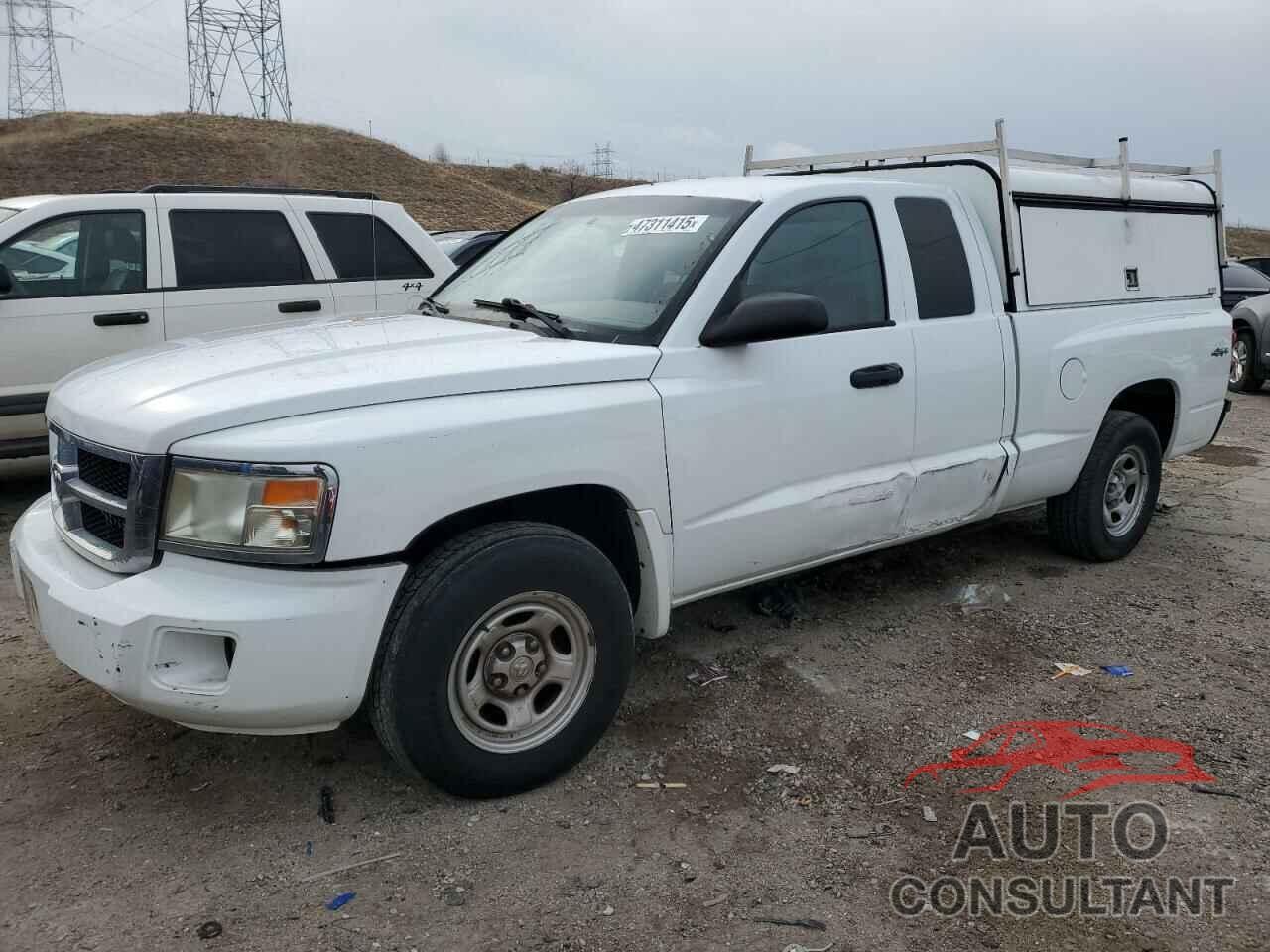 DODGE DAKOTA 2011 - 1D7RW2BK2BS654009